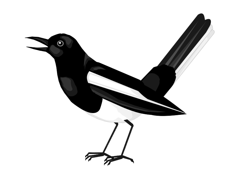 Vogel
